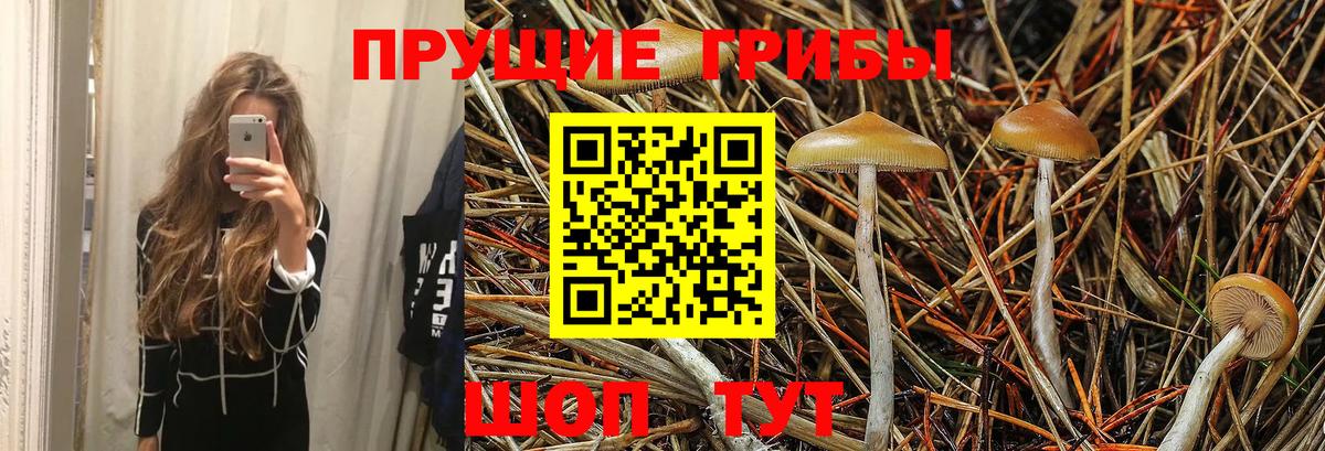 Галлюциногенные грибы MAGIC MUSHROOMS  Вход с VPN  Изобильный 