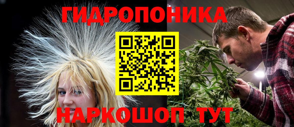 Конопля план Изобильный